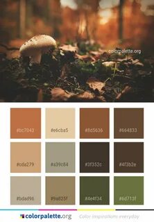 Mushroom цвет