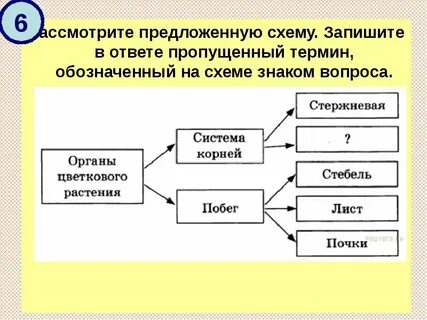В схемах ответов