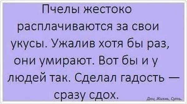 Вот если бы у меня такое было