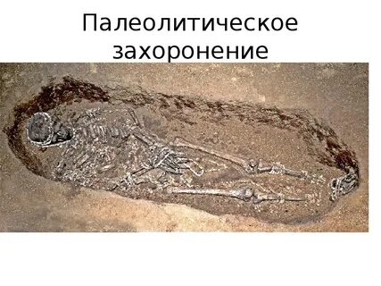 Узнайте какие древние стоянки найдены на территории
