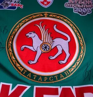 Барс татарстан