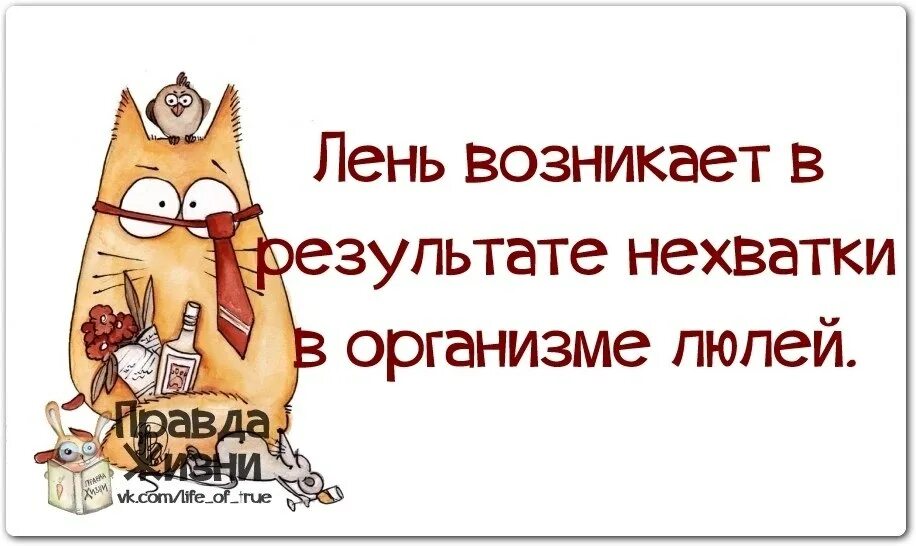 Наступила лень. Статусы про лень. Смешные фразы про лень. Шутки о лени. Статусы про ленивых.