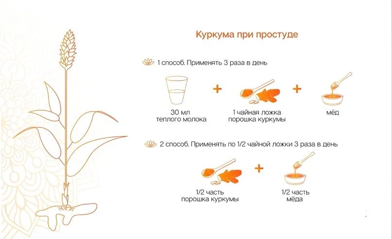Как правильно пить куркуму с перцем