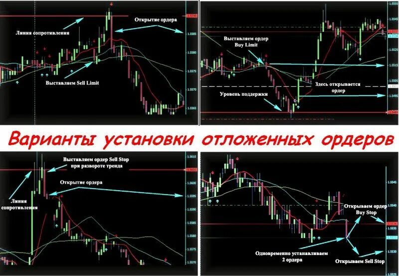 Пример закрытия ордера. Время лимит ордера. Программный комплекс «ордер» вид. Портал открытых данных ордера. 1.