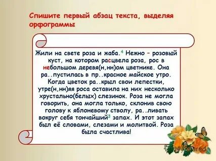 Розовый куст рос в небольшом цветнике