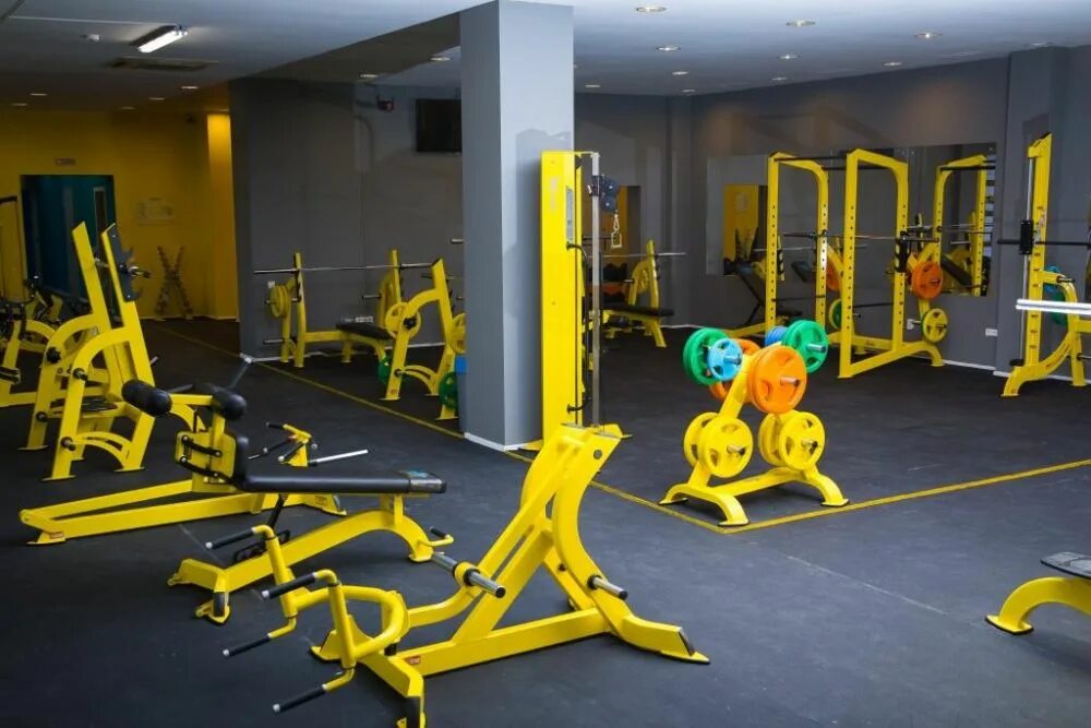 Залы новороссийска. Alex gym новороссийск. Улица видова 101 новороссийск. Спортзал новороссийск. Статус джим новороссийск.
