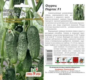 Огурцы портос описание сорта
