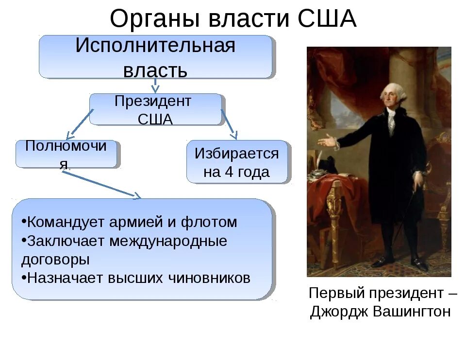 Исполнительная ветвь власти США. Схема органов власти США 1787. Органы исполнительной власти CIF. Ветви власти США.