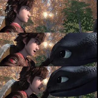 Dragon pet