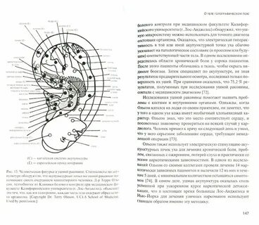 Новая теория реальности