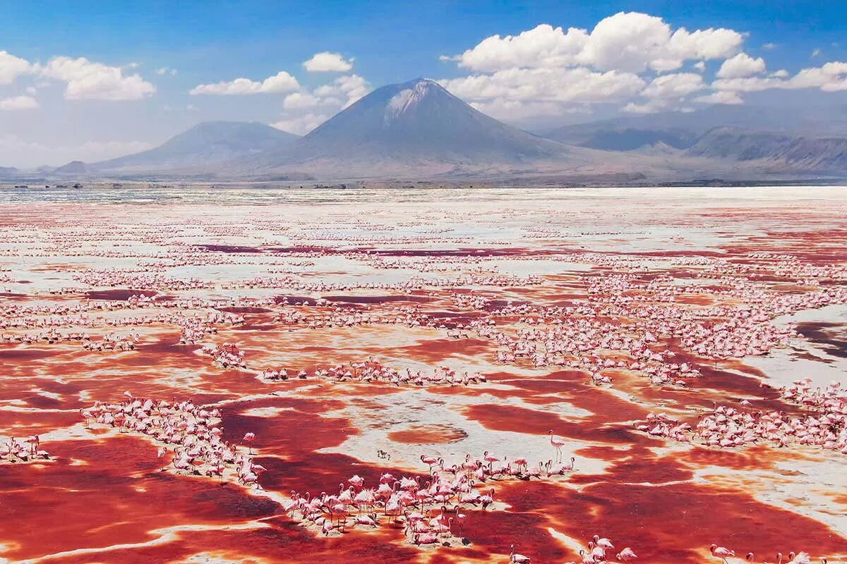 Натрон Танзания. Озеро Натрон. Озеро Натрон (Lake Natron), Танзания. Озеро Натрон Фламинго. Есть красное озеро