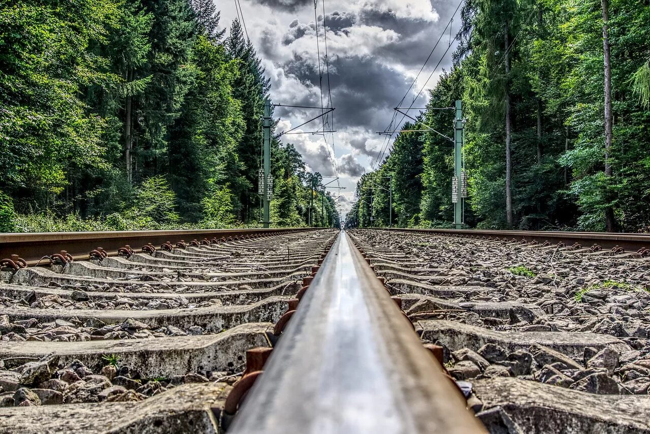 Railway line. Транссибирская магистраль рельсы. Рансс Сибирская магистраль. Трансебибирская Магистр. Лесонасаждения ЖД.