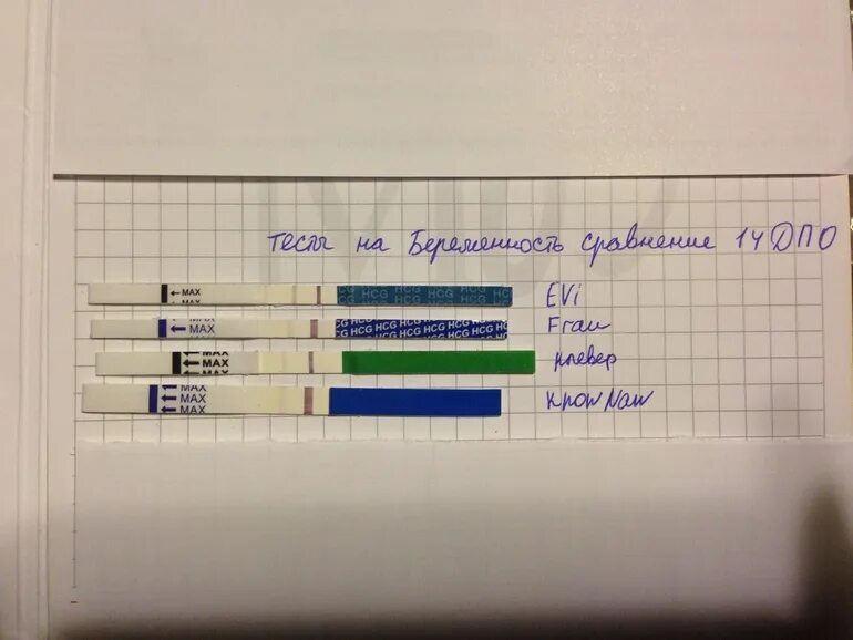 Тесты показывают разный результат. Тесты на беременность по дням. Результаты теста на беременность. Тест на беременность в разные дни. Тест на беременность разные фирмы.