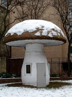 Mushroom building