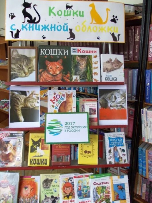 День защиты животных название мероприятия в библиотеке. Книжная выставка ко дню кошек в библиотеке. библиотечные выставки о кошках. выставка про кошек в библиотеке. книжная выставка про кошек в библиотеке.