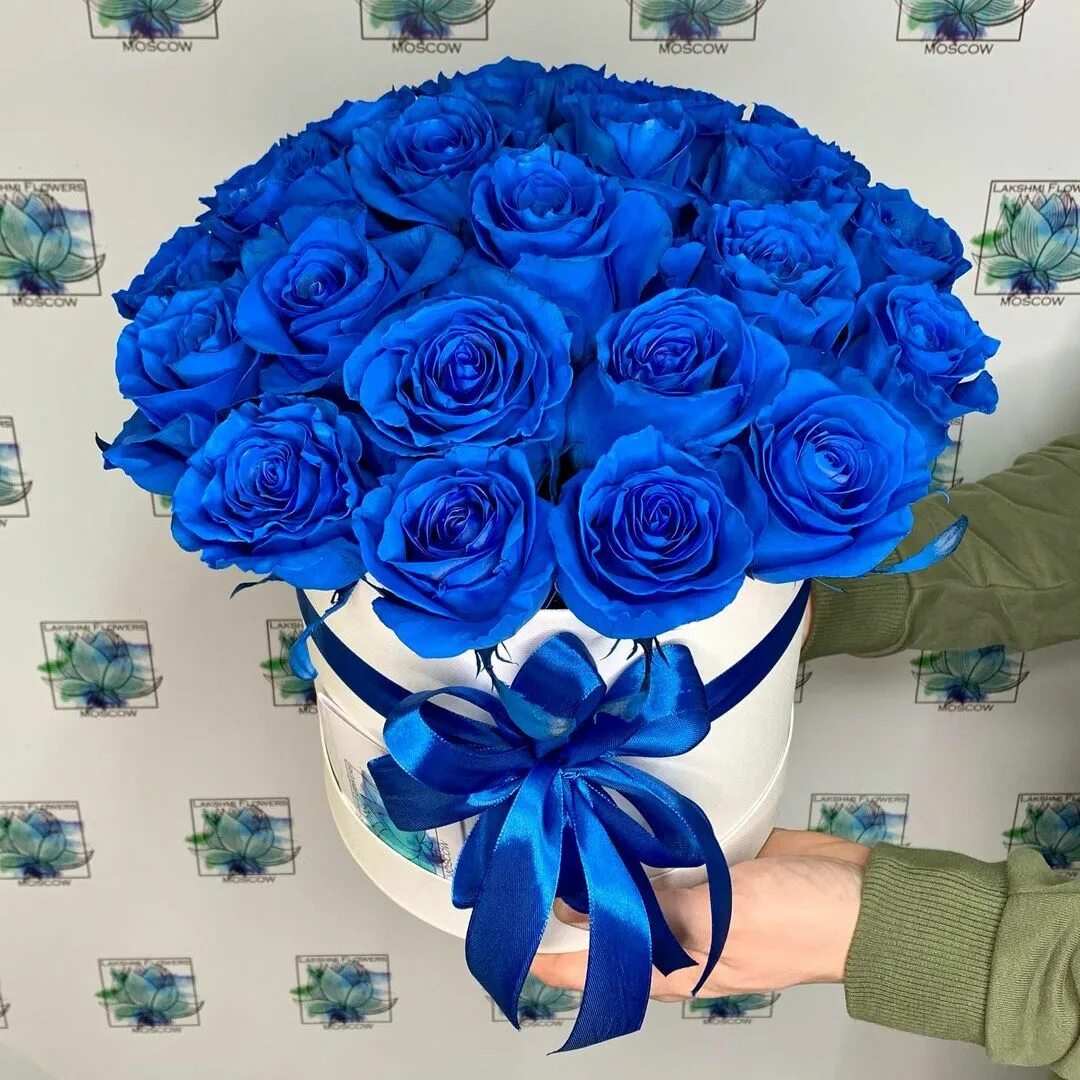 Синяя 25. 25 Синих роз. Синие розы доставка Самара.