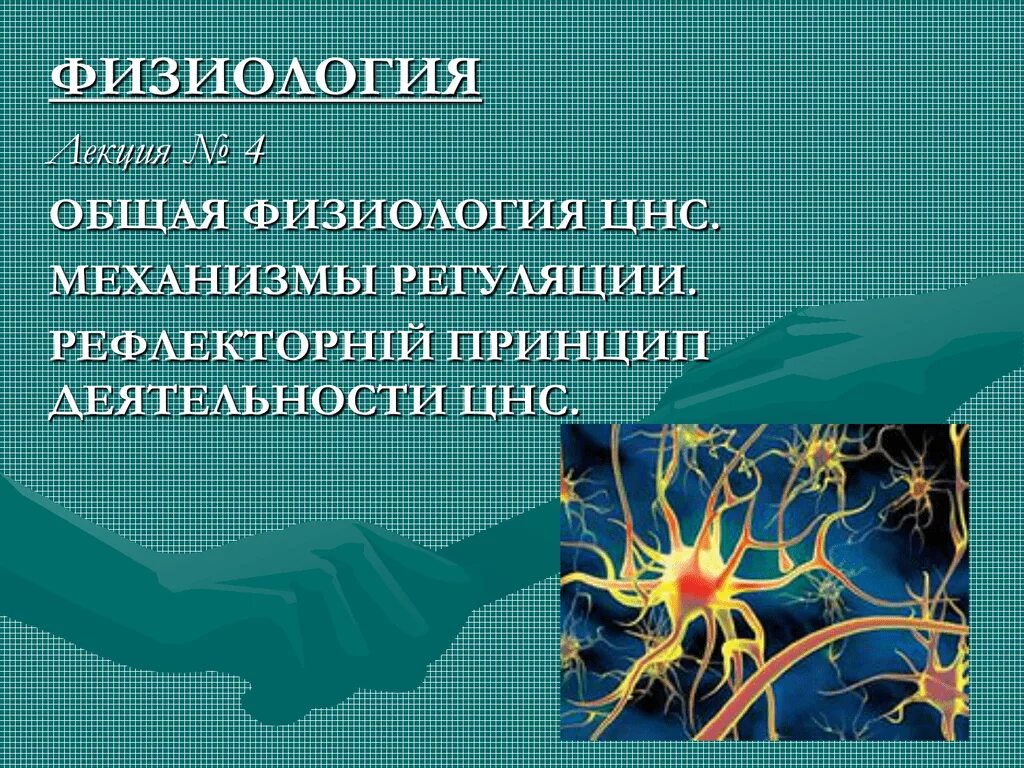 Физиология ЦНС. Общая физиология нервной системы. Нервная система физиология лекция. Физиологические механизмы деятельности нервной системы.