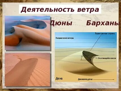Деятельность ветра формы рельефа