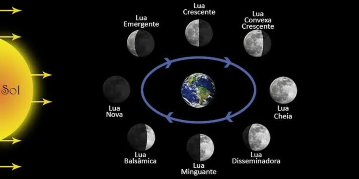 Entities lua. Lua. дгш. мэкрай луа. lua nova 2 бага.