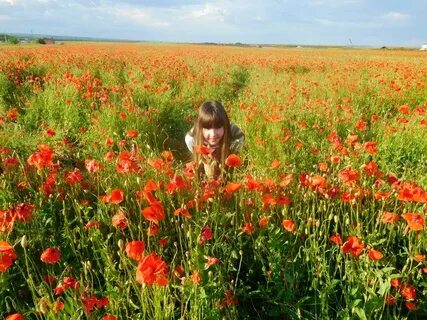 Ближайшее маковое поле