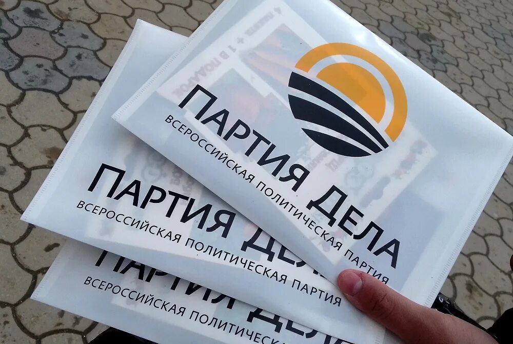 Программа партии дела. Партия дела логотип. политическая партия партия дела. всероссийская политическая партия «партия дела». партия дела флаг.