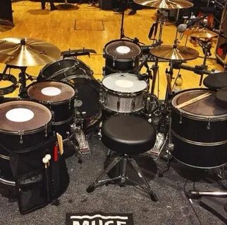 Muse drums