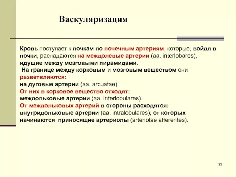 Усиленная васкуляризация. Васкуляризация почки гистология. Усиленная васкуляризация почки. Снижение васкуляризации почек.