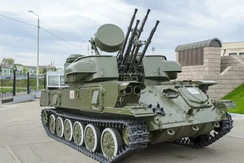 Зу шилка