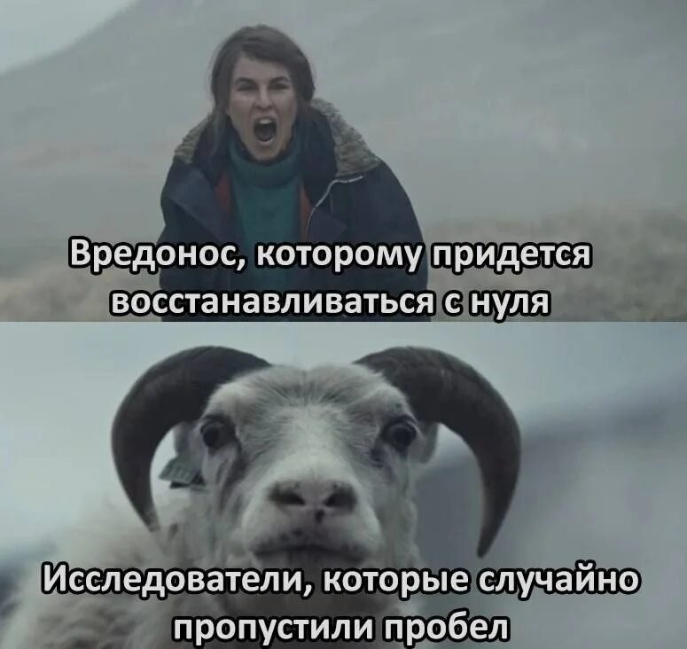 На этом месте растёт текст, но он ещё не созрел.