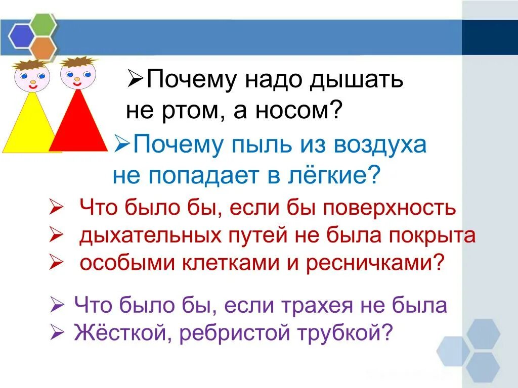 Почему надо дышать носом а не ртом. Почему вредно дышать через рот. Почемувоедно дышать РТЛМ. Почему нужно дышать через нос а не рот.