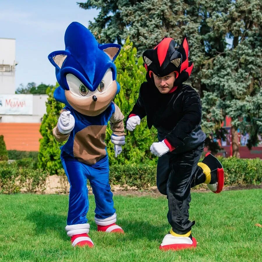 Аниматор соник на день рождения. Костюм соника для аниматора. Костюм аниматорв соник. Сонник костюм аниматора. Костюм маскот соник.
