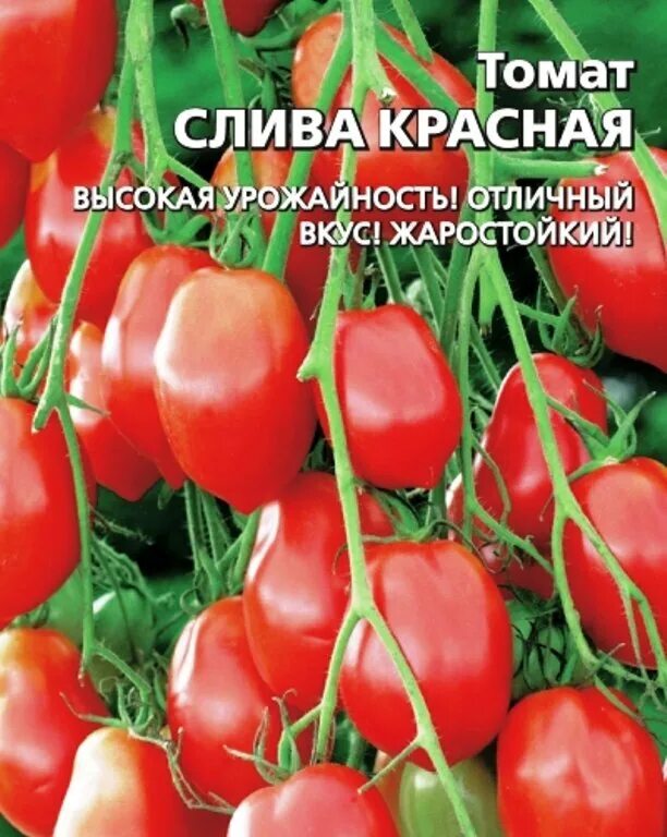 Томаты Уральский дачник Томат - купить по выгодным ценам в интернет-магазине OZO - Товар на картинке можно купить.