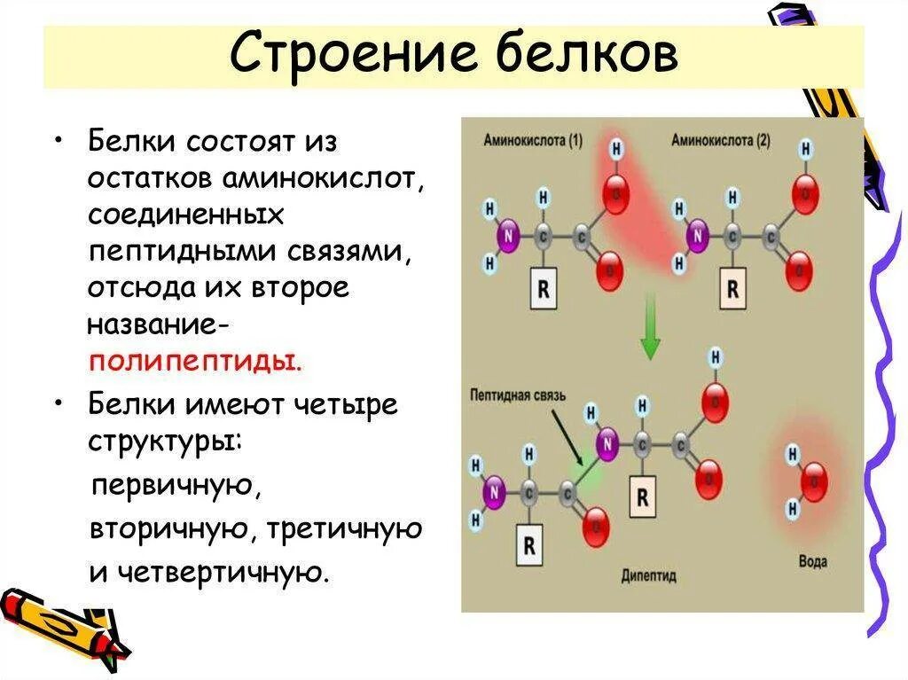 Модификация аминокислот