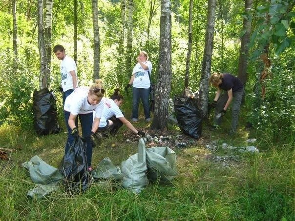 Как человек помогает лесу. Помощь природе. Школьники помогают природе.