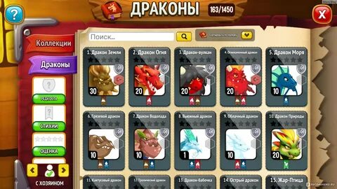 Драгон фэмили