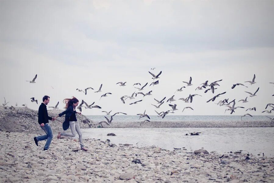 Люди не птицы 1 час. Влюбленные птицы. Птицы девушка парень. Море, птицы, человек. Человек и улетающие птицы.