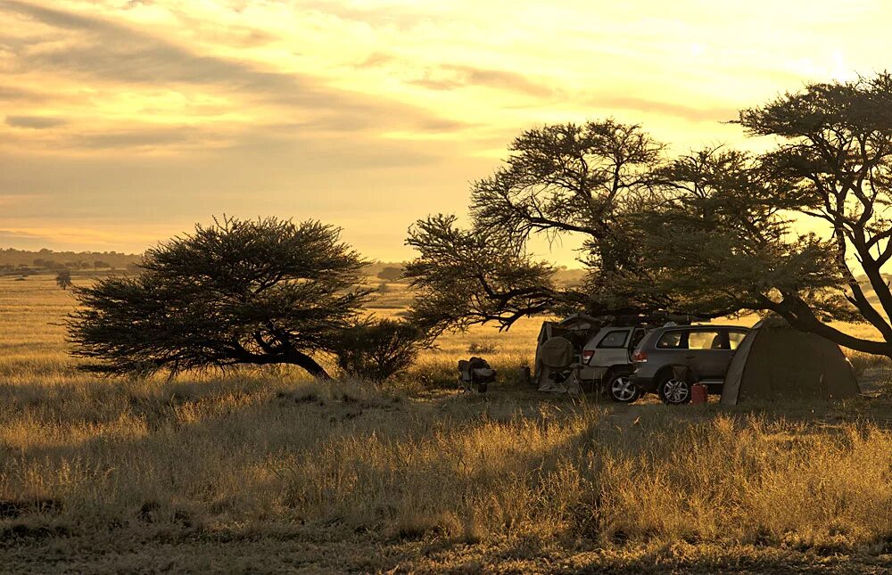 Trip africa. Трансграничный парк Кгалагади. Ботсвана Африка. Ботсвана путешествие. Ботсвана автомобиль.