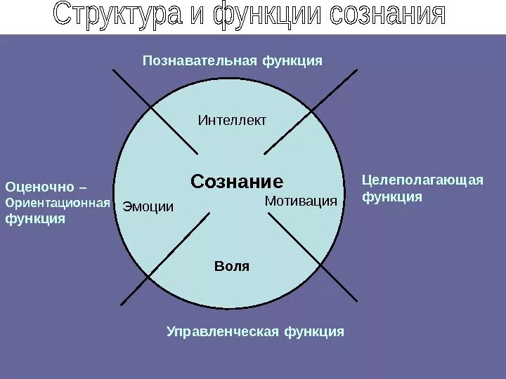 Структура сознания схема. Сознание структура сознания. Струткур асознания. Сознание человека. Структура сознания..