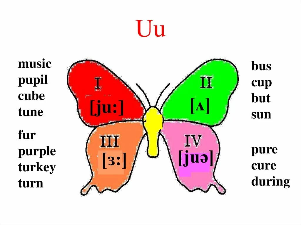 Звук u в английском языке. Правила чтения буквы u в английском языке. Чтение uu в английском языке. Звуки буквы u в английском языке.