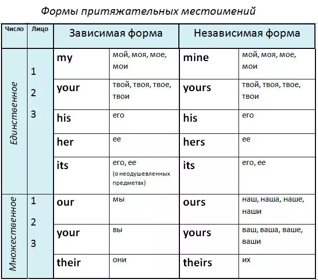 3 предложения с притяжательными местоимениями