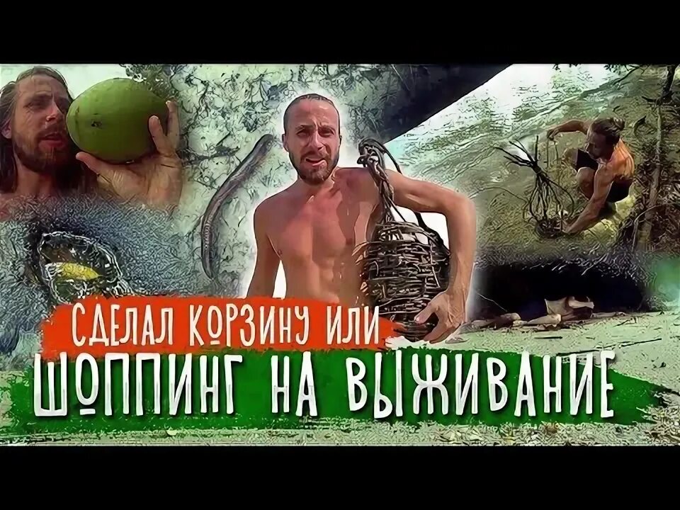 Джунгли реалити шоу. Джунгли реалити шоу