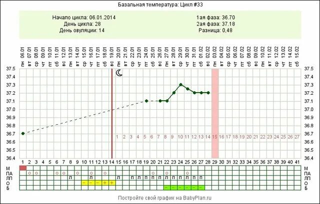 Беременность за день до овуляции. Беременность за 2 дня до овуляции. БТ за 2 дня до овуляции. Базальная температура 7 недель беременности. Две овуляции форум