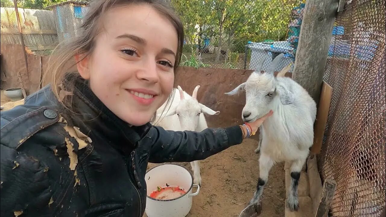 Соцсети. Муклам вход воспрещён 23.11.19 - ЯПлакалъ