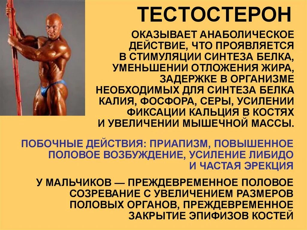 Анаболический эффект это что означает