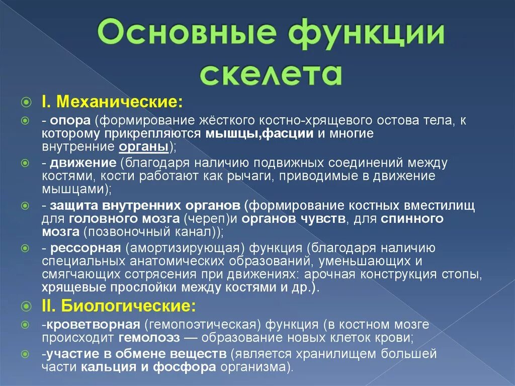 Механической функции скелета человека. Основные функции скелеат. Механические и биологические функции скелета. Функции функции скелета. Основные функции кости.