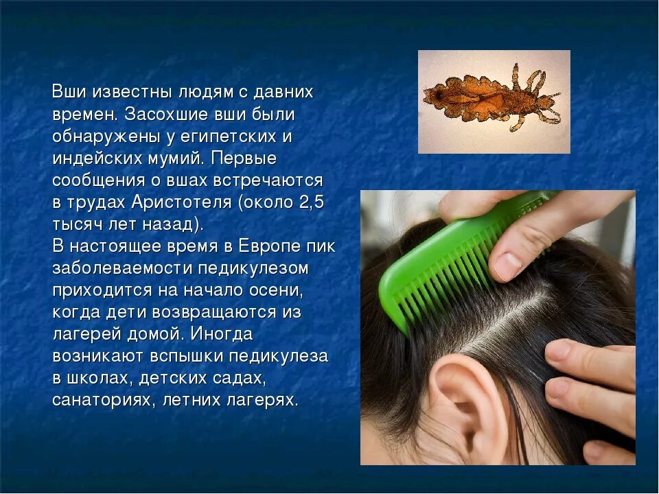 Вши текст