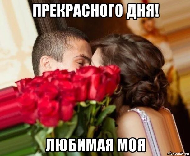 Прекрасный день мем. Прекрасного дня мемы. мои любимые мемы. моей любимой мем.