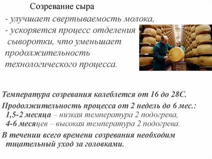 Сыр температура