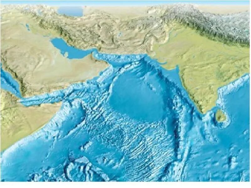 Рельеф на дне океана. Рельеф дна индийского океана. Рельеф дна Тихого океана. Рельеф дна морей Тихого океана. Карта рельефа дна индийского океана.