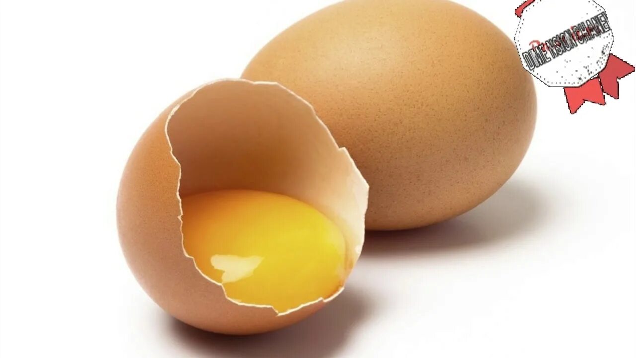 Тарелка для яиц. Самое знаменитое яйцо. Яйцо в инстаграмме. Egg выпадение. Egg выпадение.